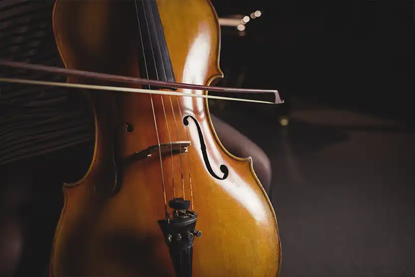 Manutenção Essencial: 7 Cuidados Diários que Prolongam a Vida do Seu Violoncelo